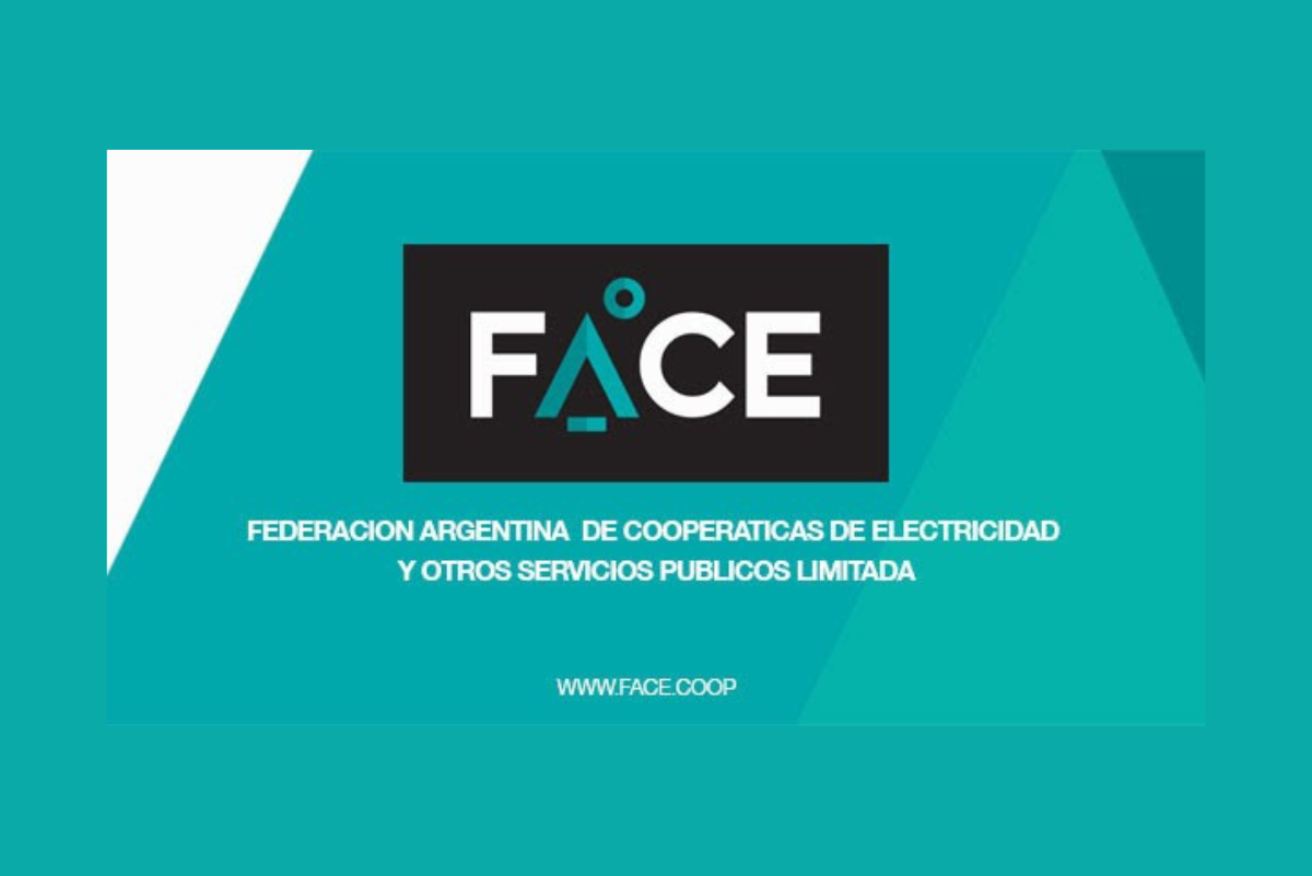 Resumen de gestión de FACE durante la última década (2015-2025)